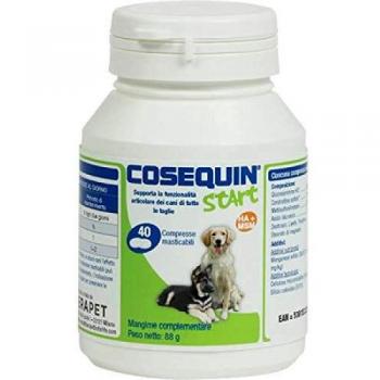 Cosequin Start Cane
