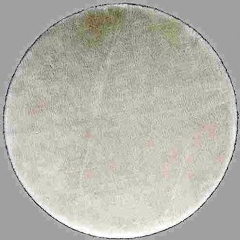Andiamo Teppich »Fellimitat«, rund, 120 cm, waschbar, weich