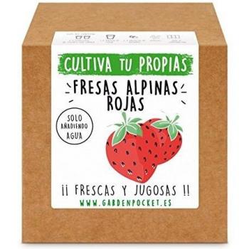 Kit de Siembra Fresas Rojas Garden Pocket