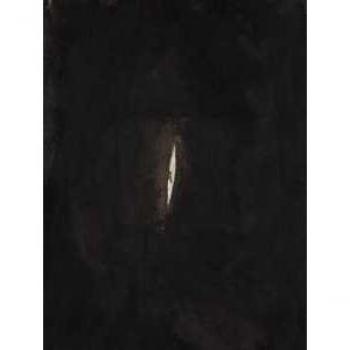 Anish Kapoor. Ediz. italiana