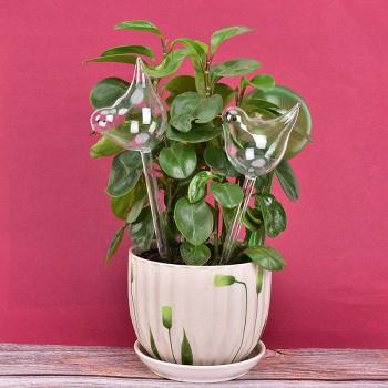 Glass Self-Watering Plant Bulb