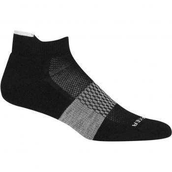 Calzini Leggeri Micro Uomo Icebreaker Multisport