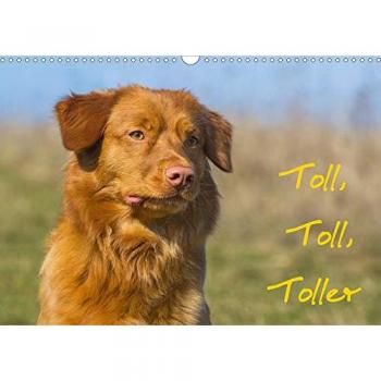 Toll, toll, Toller