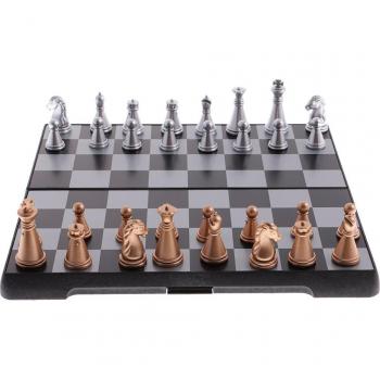 Educational Magnetic Chess Set