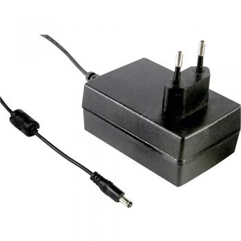 Alimentation à tension fixe MW GST25E07-P1J 2930 mA