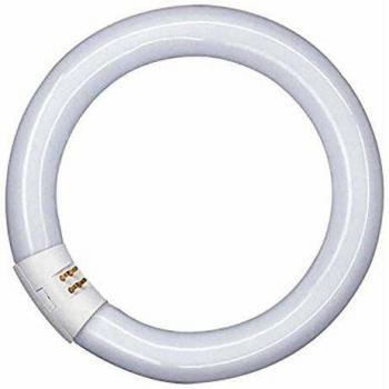 Osram 2250 Lm 9000 H Attacco Circolare Lampadina Fluorescente Bianco Freddo