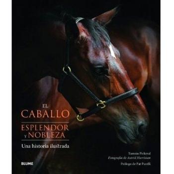 El caballo. Esplendor y nobleza