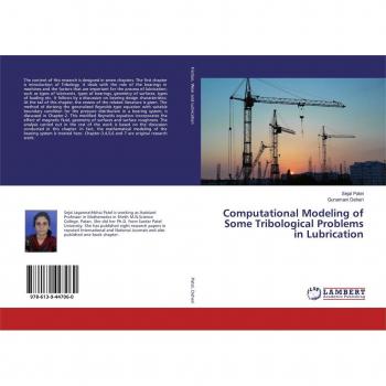Computational Modeling of Some Tribological Problems in Lubrication