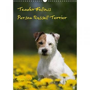 Tender Fellows
