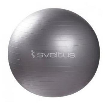 Sveltus 65cm Exercise Ball