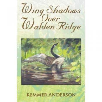 Wing Shadows Over Walden Ridge