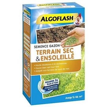 Semi Semsol1 Algoflash