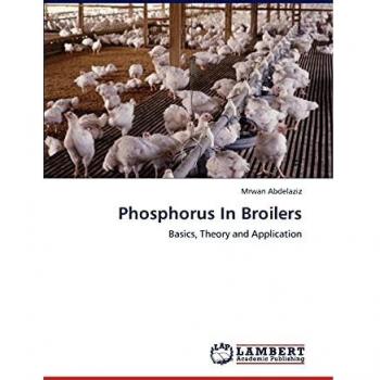 Phosphorus In Broilers