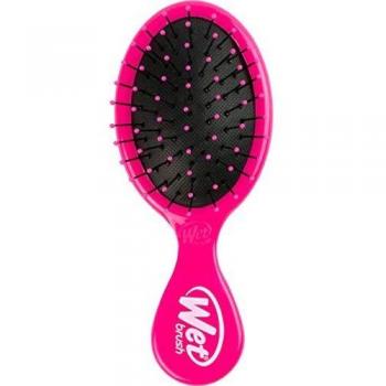 Wet Brush Compact Detangler