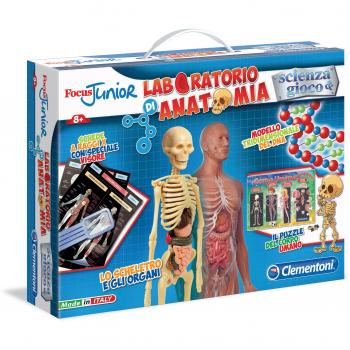Hands-On Anatomy Study Set