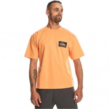 Quiksilver Men's Back Splash Short Sleeve Cotton T-Shirt