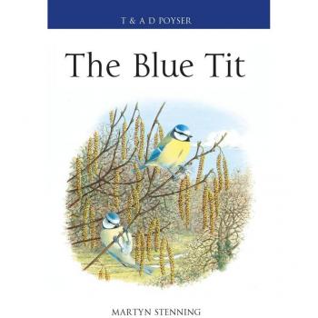 The Blue Tit
