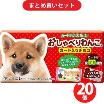 Shoei Delicy Chien Interactif Chocolat 1 pièce x 20