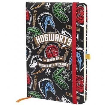 Produit Harry Potter – Jeu Multicolore Standard