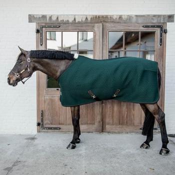 Kentucky Horsewear Abschwitzdecke Tannengrün