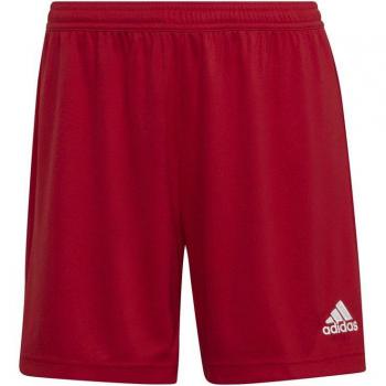 Pantaloni Corti Adidas Short Entrada 22 Rouge