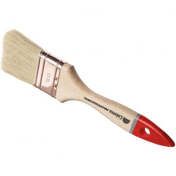Pack Économique de 12 Brosses Professionnelles N°70
