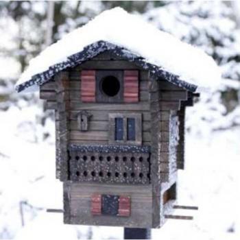 Wildlife Garden Nistkasten und Futterhaus Multiholk Alpenhaus