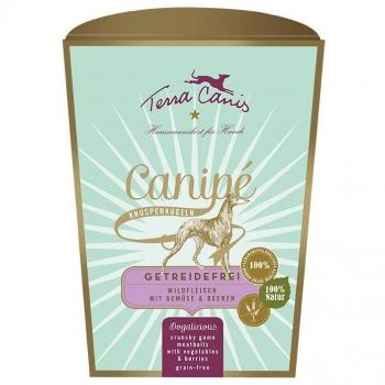 Terra Canis Cervo Sensitive con Patate Dolci, Zucchine e Frutti di Bosco per Cani