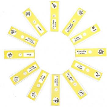 Insect and Flower Microscope Slides Set (12/48 Pcs)