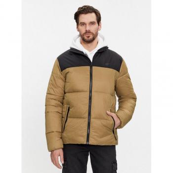 4F Winterjacke TDJAM348 Braun Regular Fit