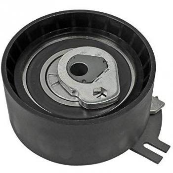Rolo Tensor Correia Dentada DT 6.22243 – Peça Original