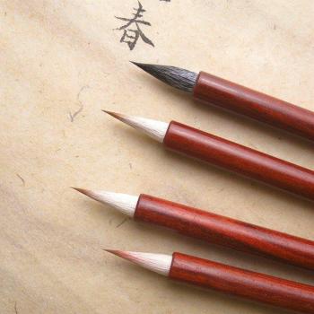 Bolígrafos de práctica para caligrafía china