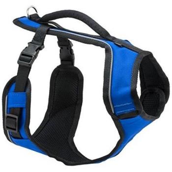 Easysport Poignée de Contrôle – Bleu S