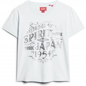 Superdry T-Shirt mit Metallic-Print »FOIL WORKWEAR FITTED TEE«