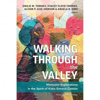 Vitalsource Technologies, Inc. Walking through the Valley