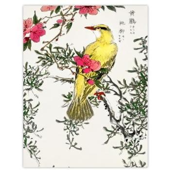 Twilight Peach Blossom – Bush Warbler Edition, 18 x 24
