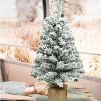 60cm Snowy Christmas Tree with Jute Base