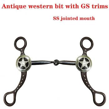 Hand Engraved Antique Western Bit with Stainless Steel Mouth and Gold-Silver Trim (SBT1144)