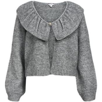 Veste Denisi Tonalità Grigia