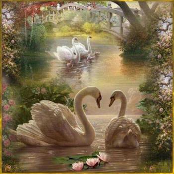 Goose Couple Rhinestone Embroidery 30x30CM