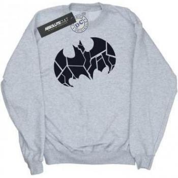 Uomo Felpa Shield Batman DC One Color