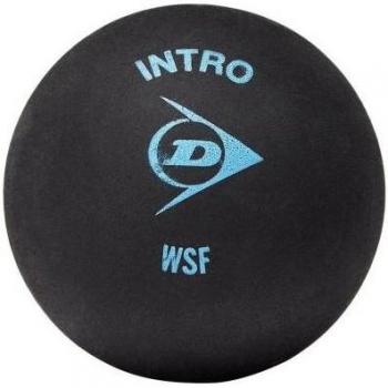Dunlop Intro Squashballen (12 stuks zwart)