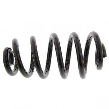 MAPCO Spiralfeder für AUDI 72808