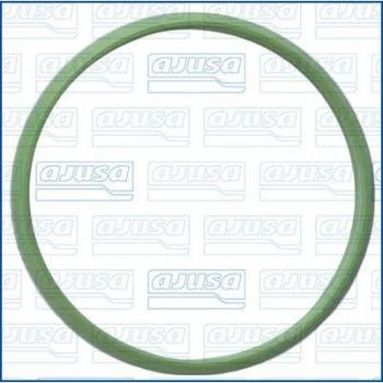 01350000 Timing Chain Tensioner Gasket