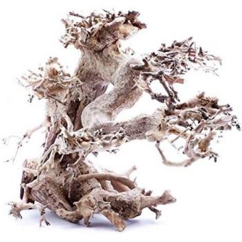 Aquarium Driftwood Bonsai Tree Medium Size