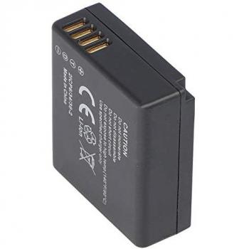 Batterie Compatible DMW-BLG10 E
