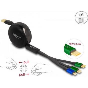 Delock 85359 Universal Charging Cable