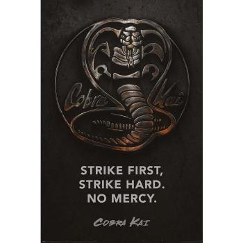 Cobra Kai 3D-Poster
