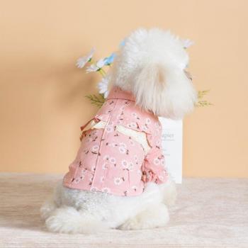 Chic Canine Apparel