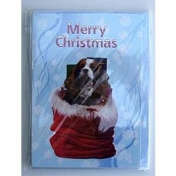 Cavalier King Charles Blenheim Christmas Greeting Card Pack of Five